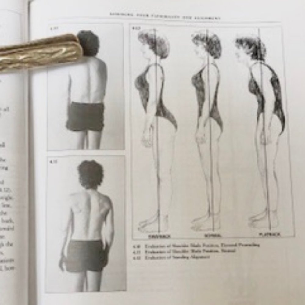 YOGA BOOK BACK CARE BASICS Mary Pullig Schatz NEW NWOT - Picture 4 of 7